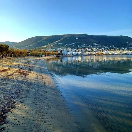 Bonzoe #4 Apartment *