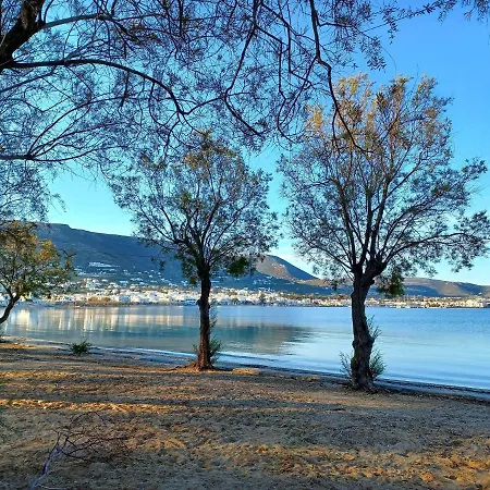 Bonzoe #4 Parikia (Paros)