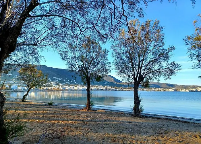 Bonzoe #4 Πάρος